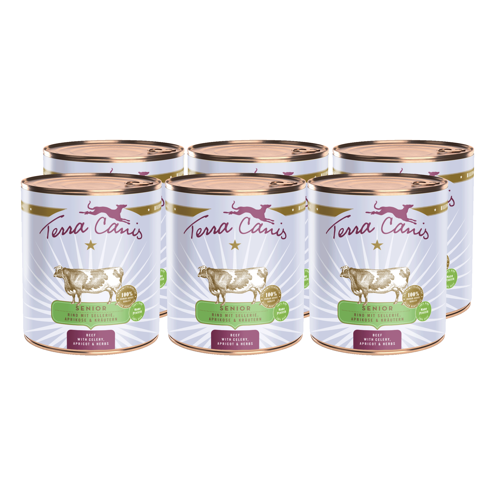 Terra Canis Senior | Rind mit Sellerie, Aprikose und Gesundheitskräutern 6x 800g