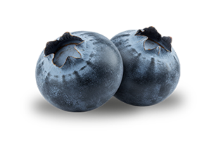 TC Clearly Image Blueberry