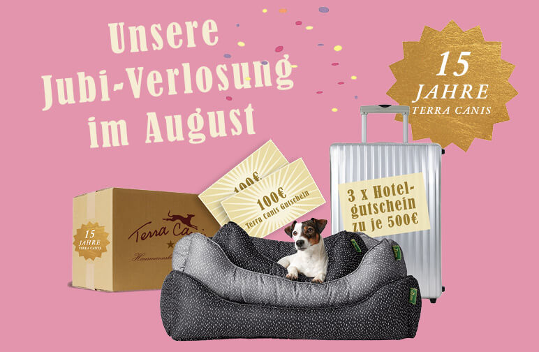 Unser August Gewinnspiel: Jetzt mitmachen & tolle Preise gewinnen