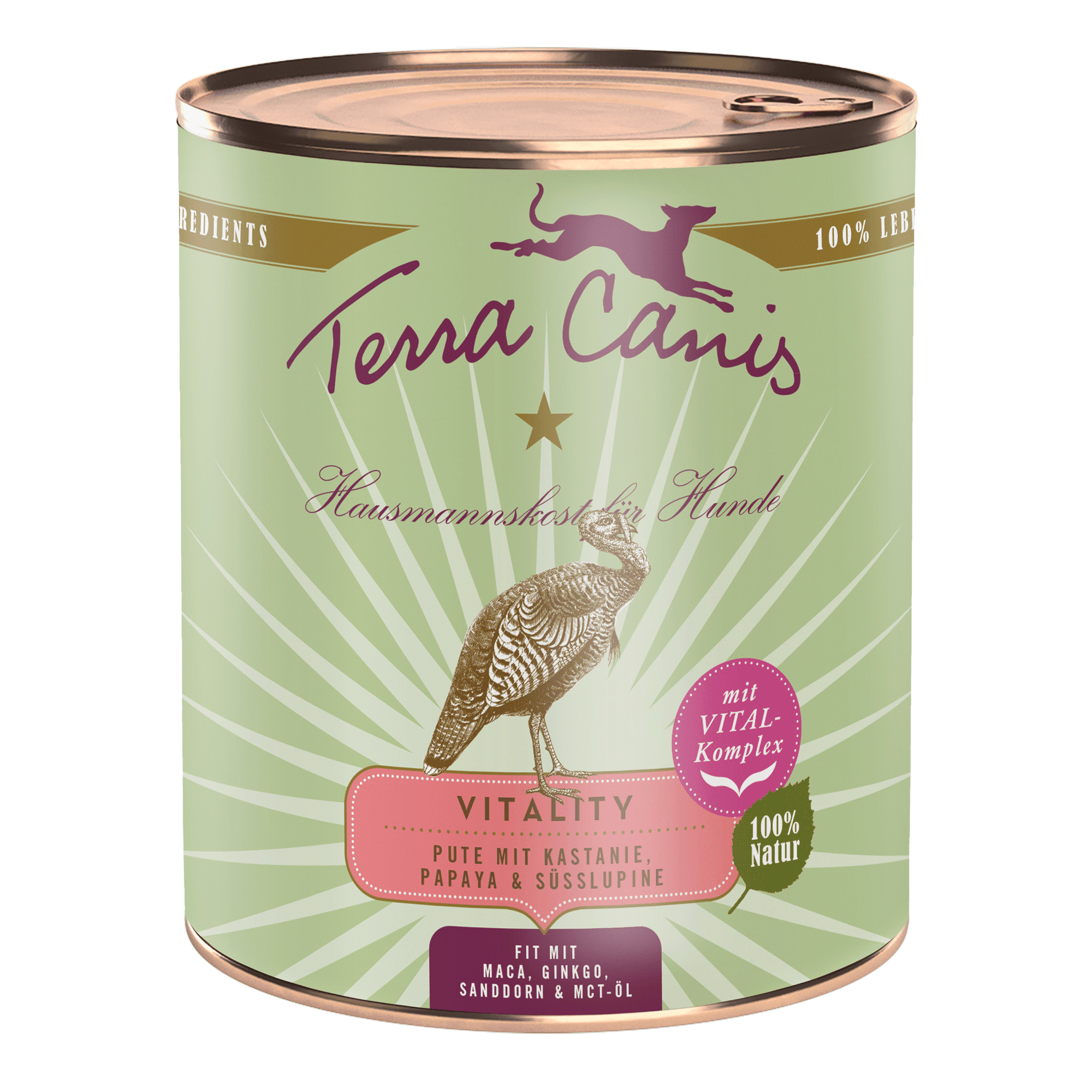 Terra Canis Vitality | Pute mit Kastanie, Papaya und Süßlupine 6x 800g