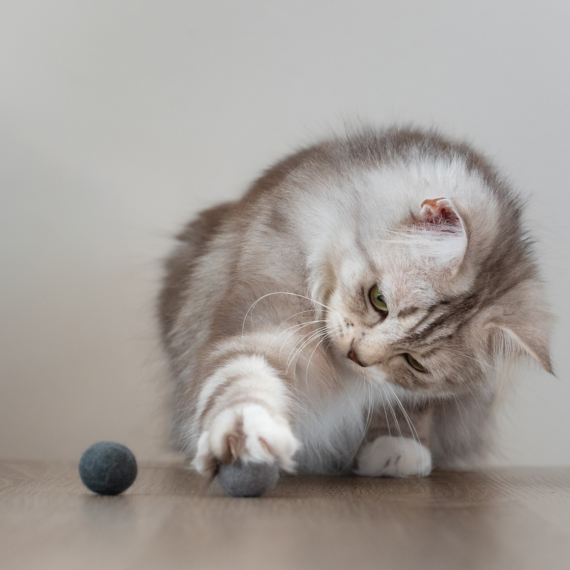 Miniball