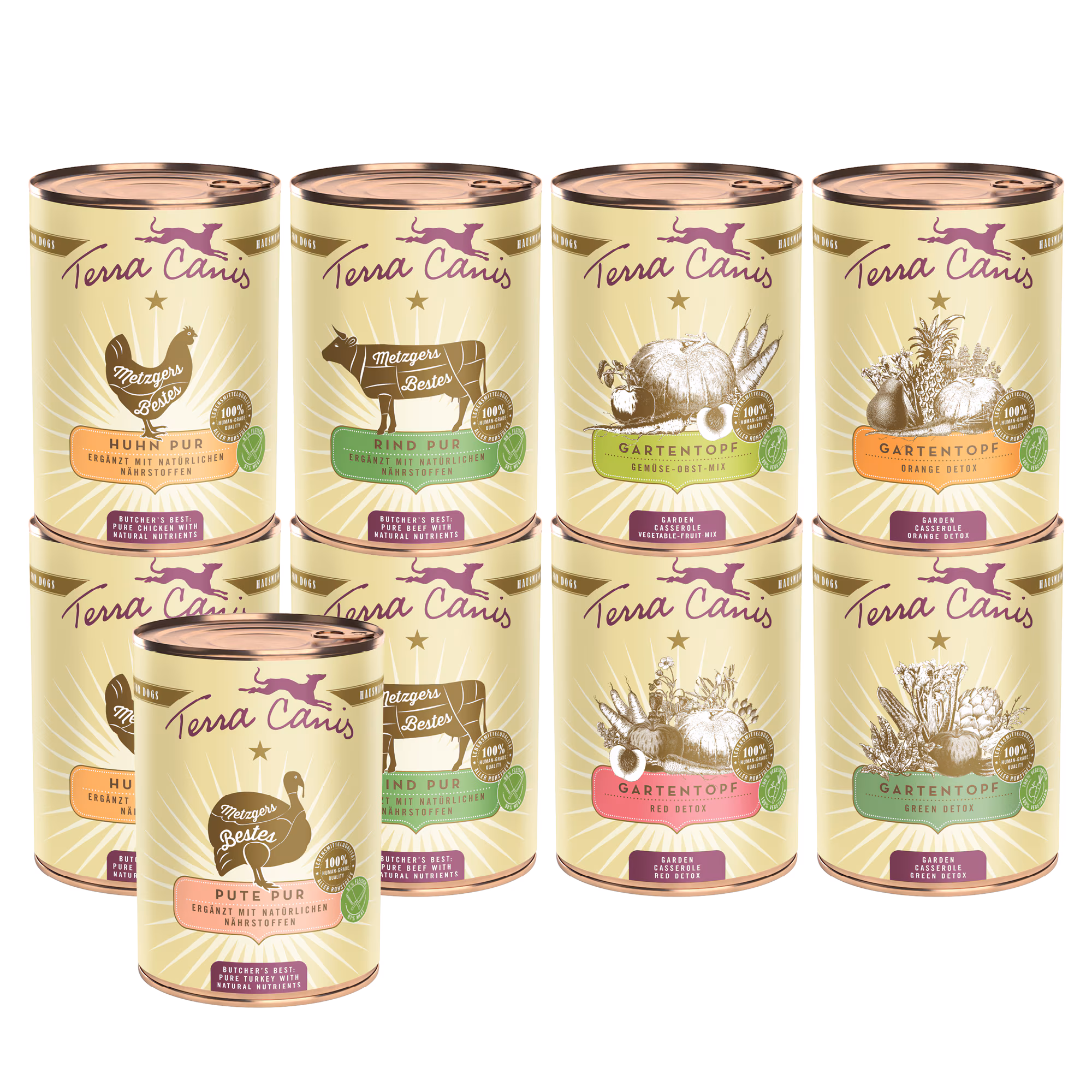 Pacchetto introduttivo L