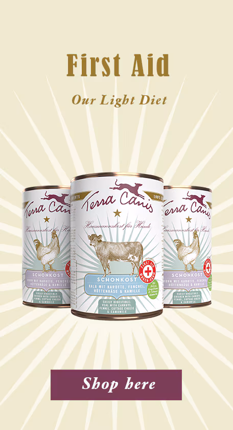 Dog Food First Aid