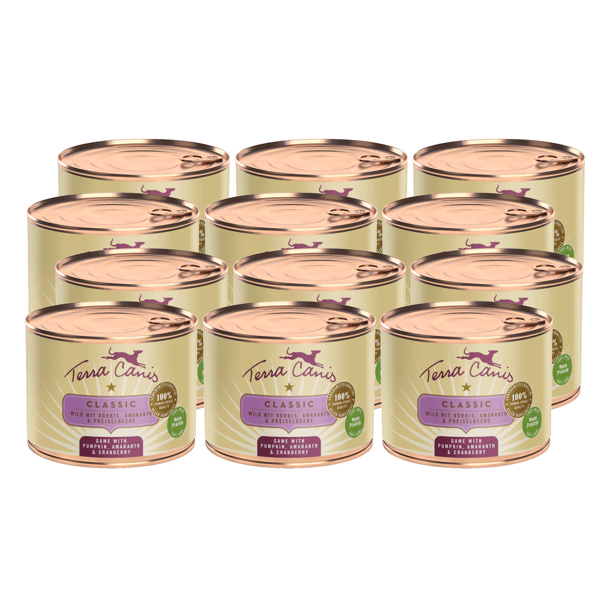 Wild mit Kürbis, Amaranth und Preiselbeere