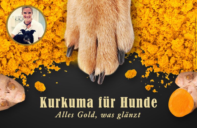 Kurkuma