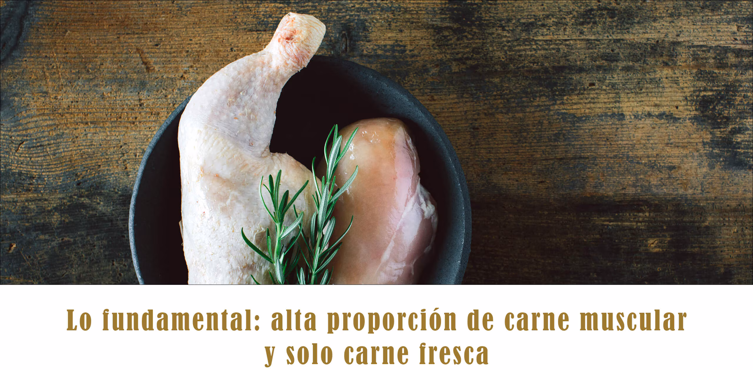 TC Webshop Unterseite Canireo ES Fleisch Desktop