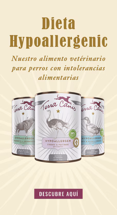 Comida Para Perros Hypoallergenic