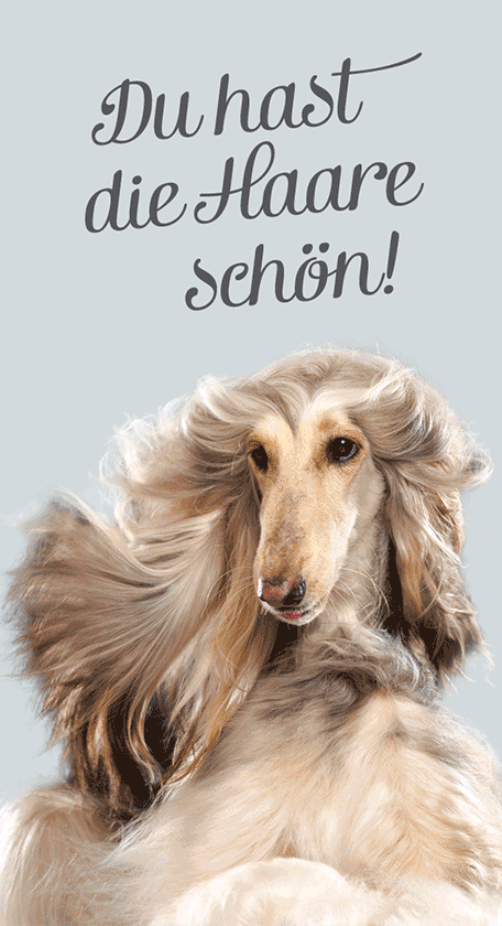 Hundefutter Derma Diaet