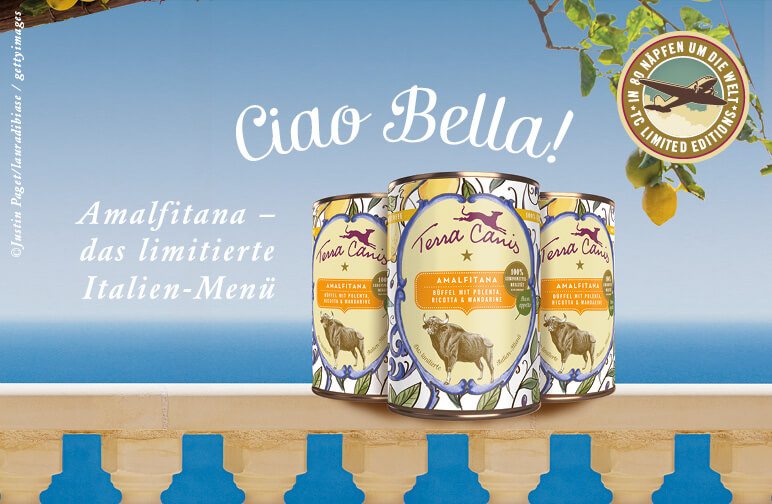 Amalfitana - Bella Italia im Hundenapf