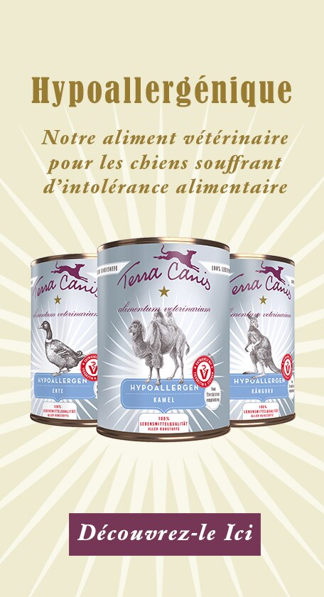 Aliments Pour Chiens Hypoallergenique