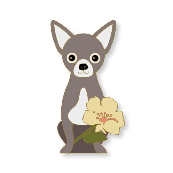 Pin Chihuahua 