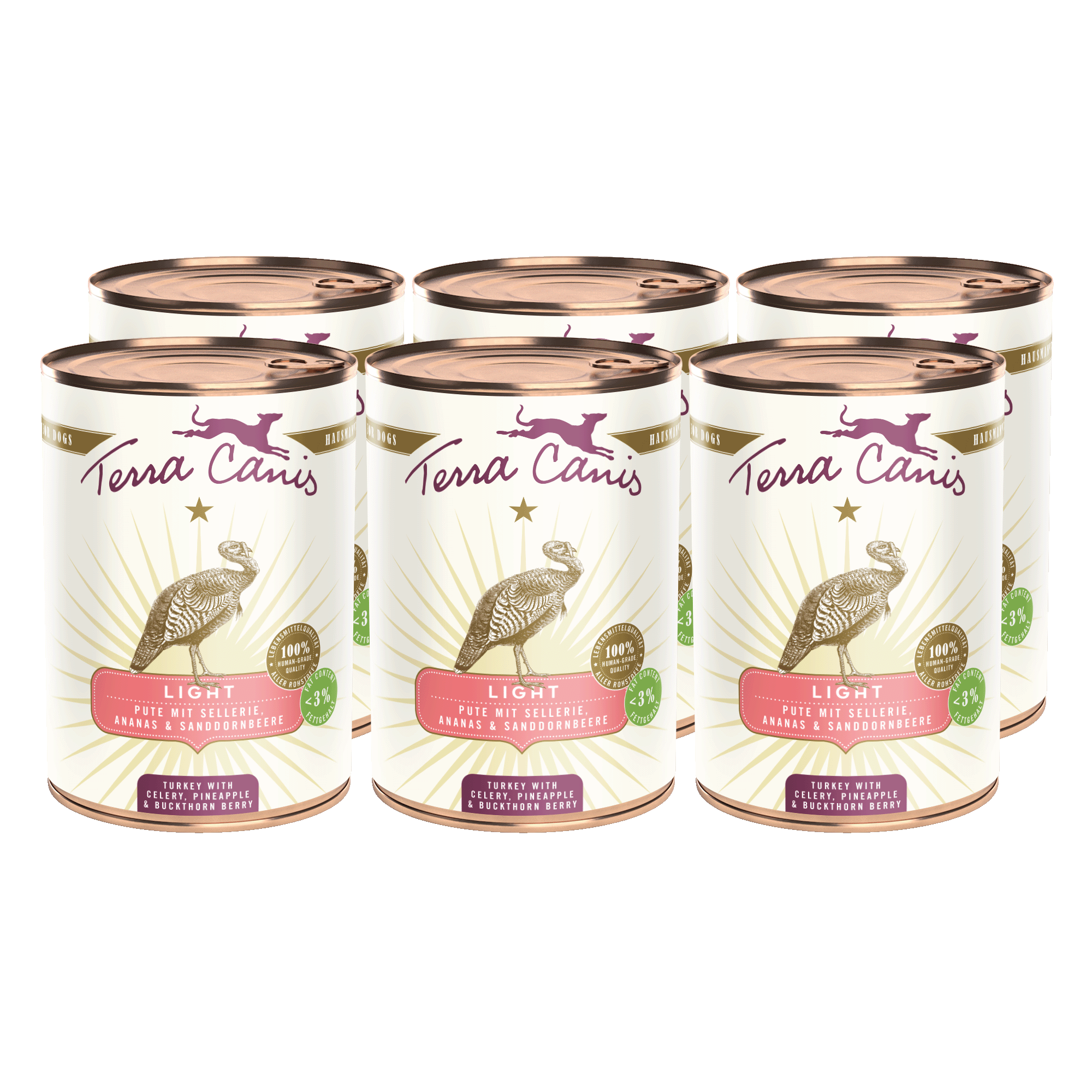 Terra Canis Light | Pute mit Sellerie, Ananas und Sanddornbeere 6x 400g