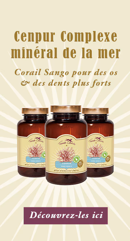 Complexe Mineral De La Mer Corail Sango 97058 Html