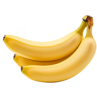 TerraCanis Banane