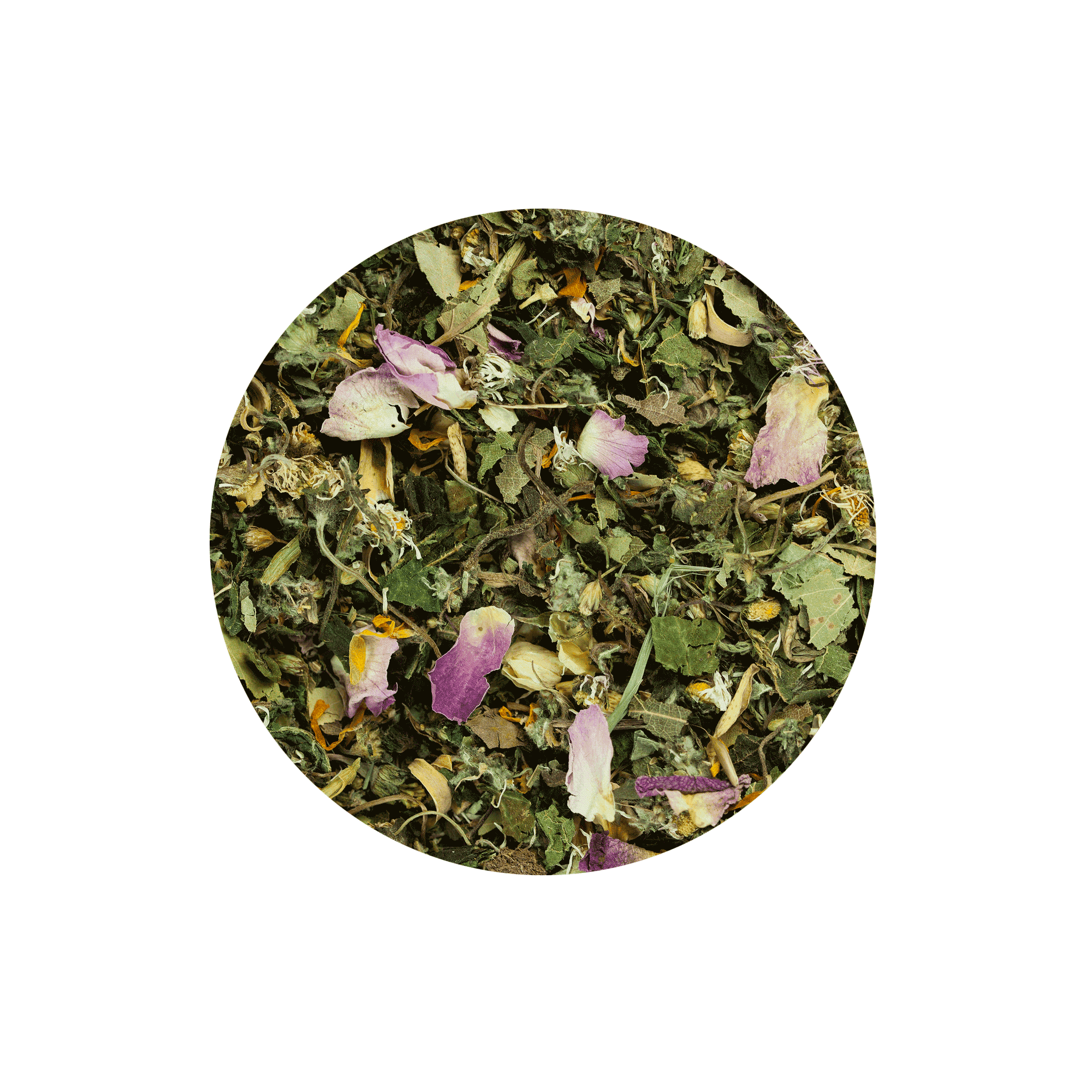 Dandelion Flower Essence Bach Best Flower Site