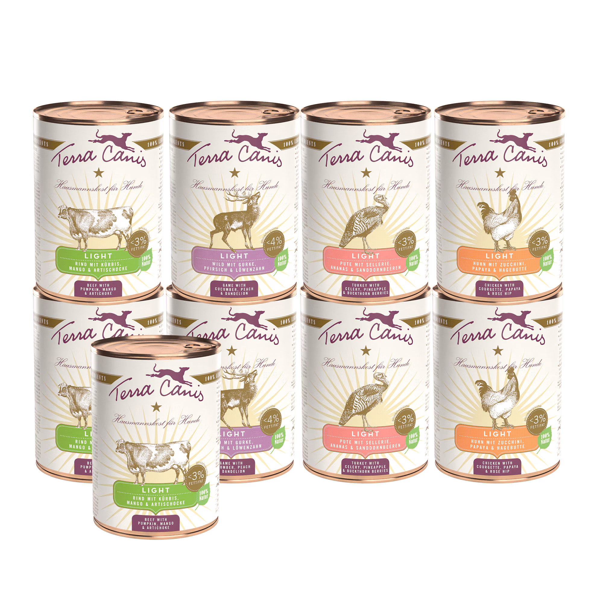 Kennenlernpaket L