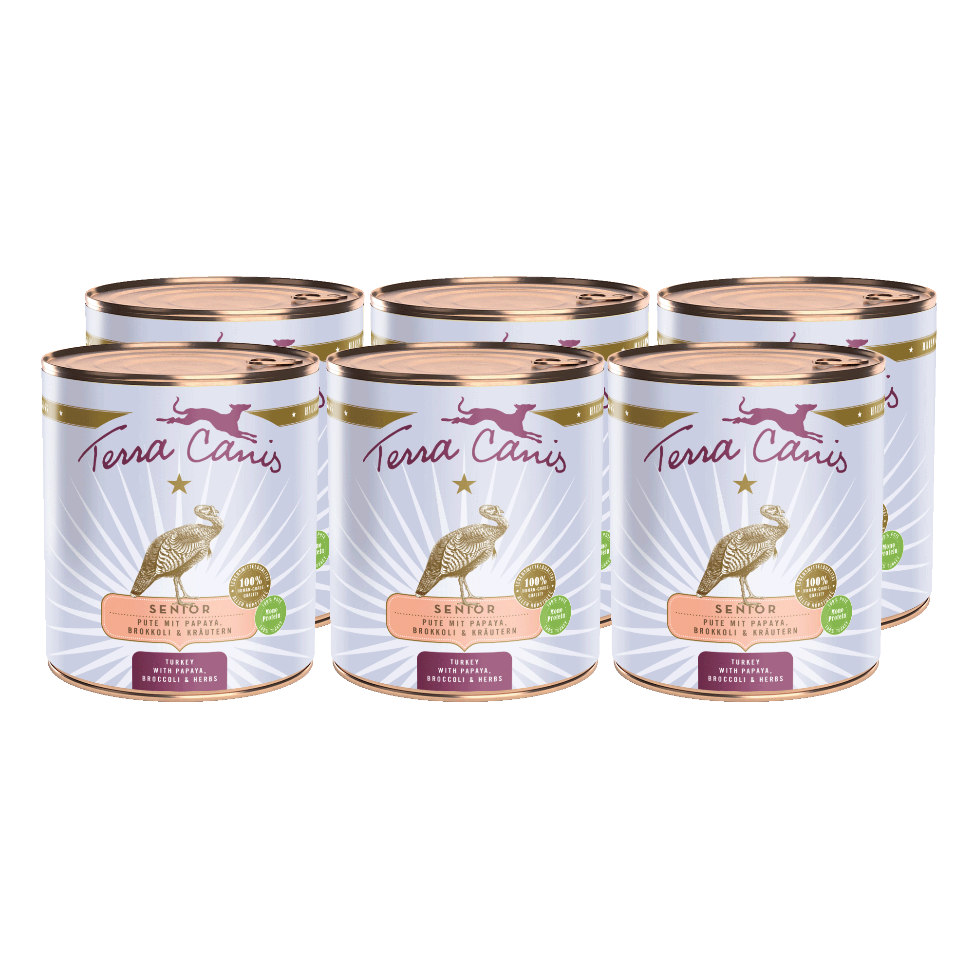 Terra Canis Senior | Pute mit Papaya, Brokkoli und Gesundheitskräutern 6x 800g