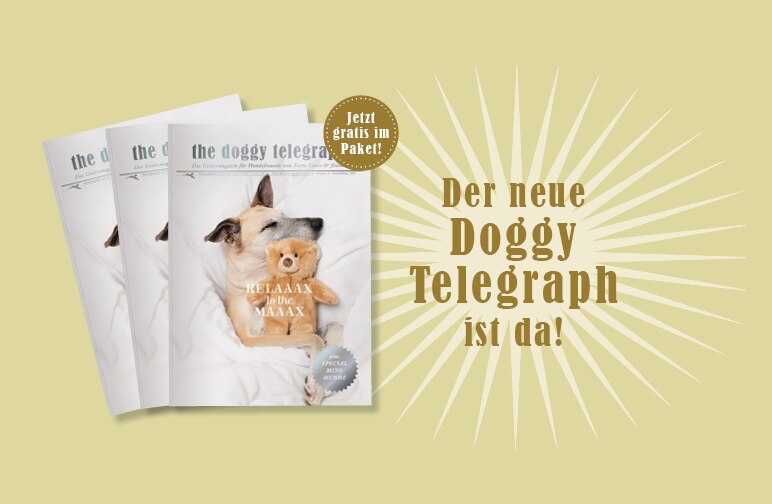 The Doggy Telegraph - Die neue Ausgabe ist da