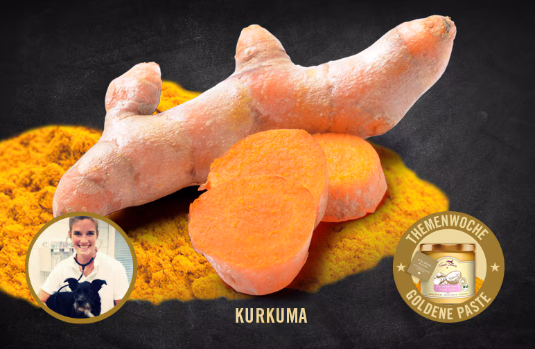 Kurkuma – Allheilmittel aus der indischen Gesundheitslehre