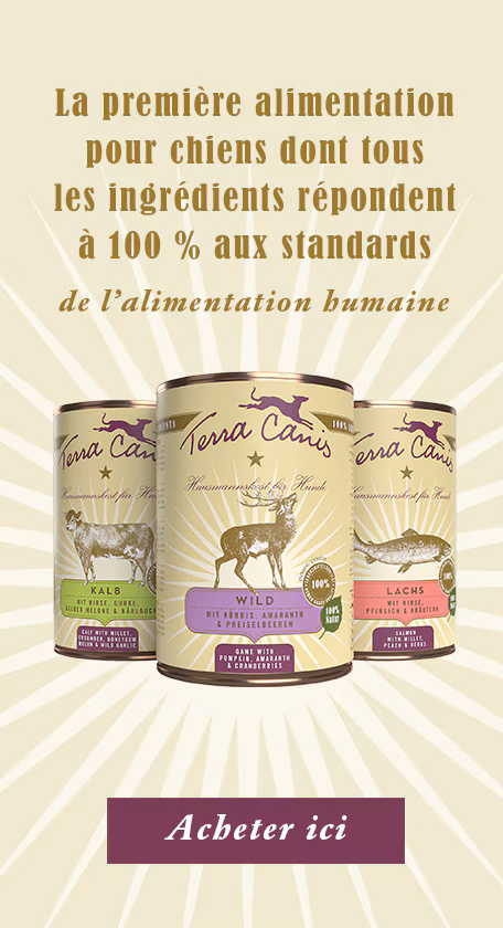 Aliments Pour Chiens