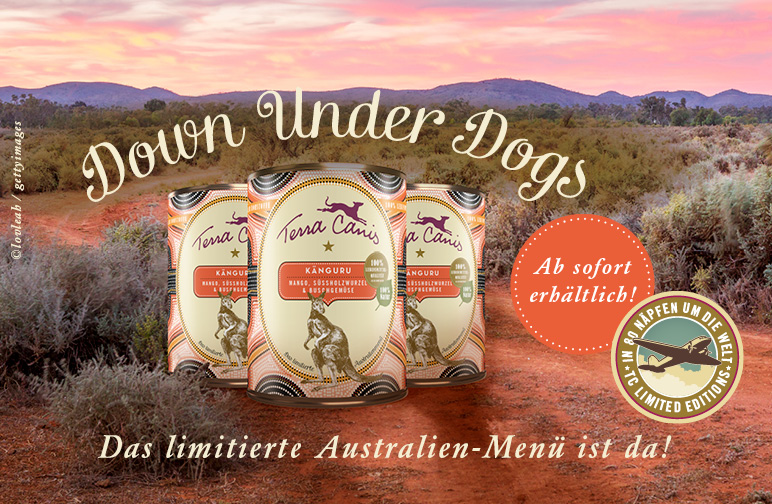 Down Under Dogs