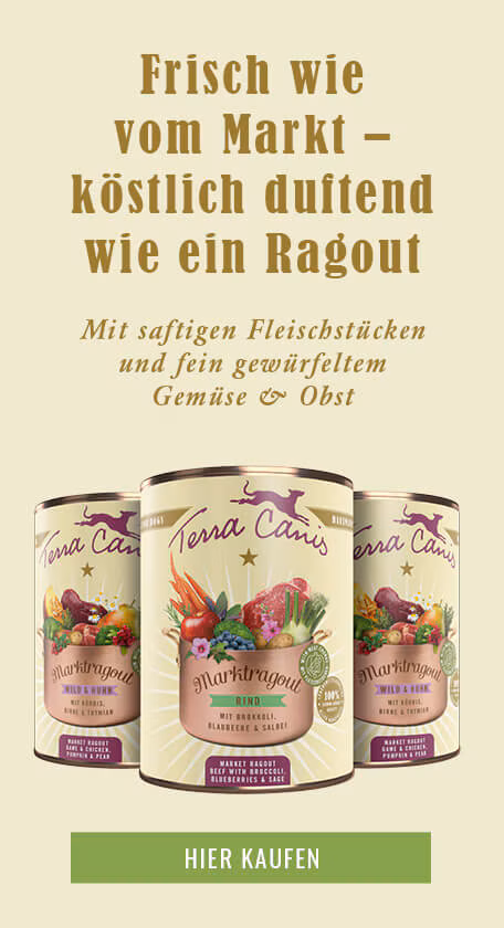 Hundefutter Marktragout