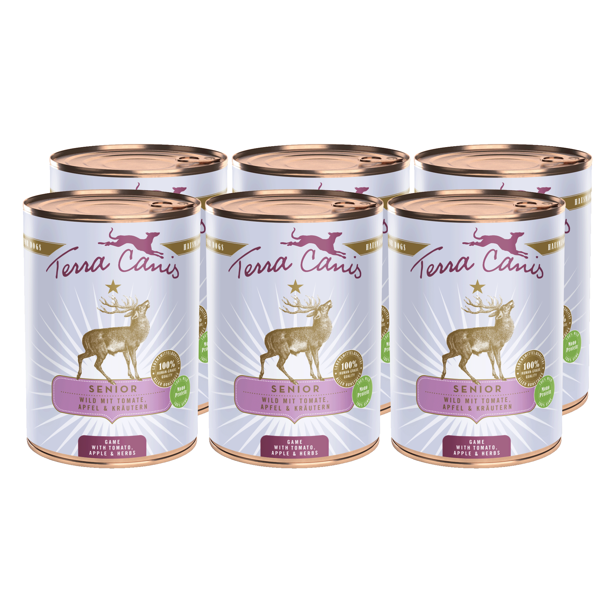 Terra Canis Senior | Wild mit Tomate, Apfel und Gesundheitskräutern 6x 400g