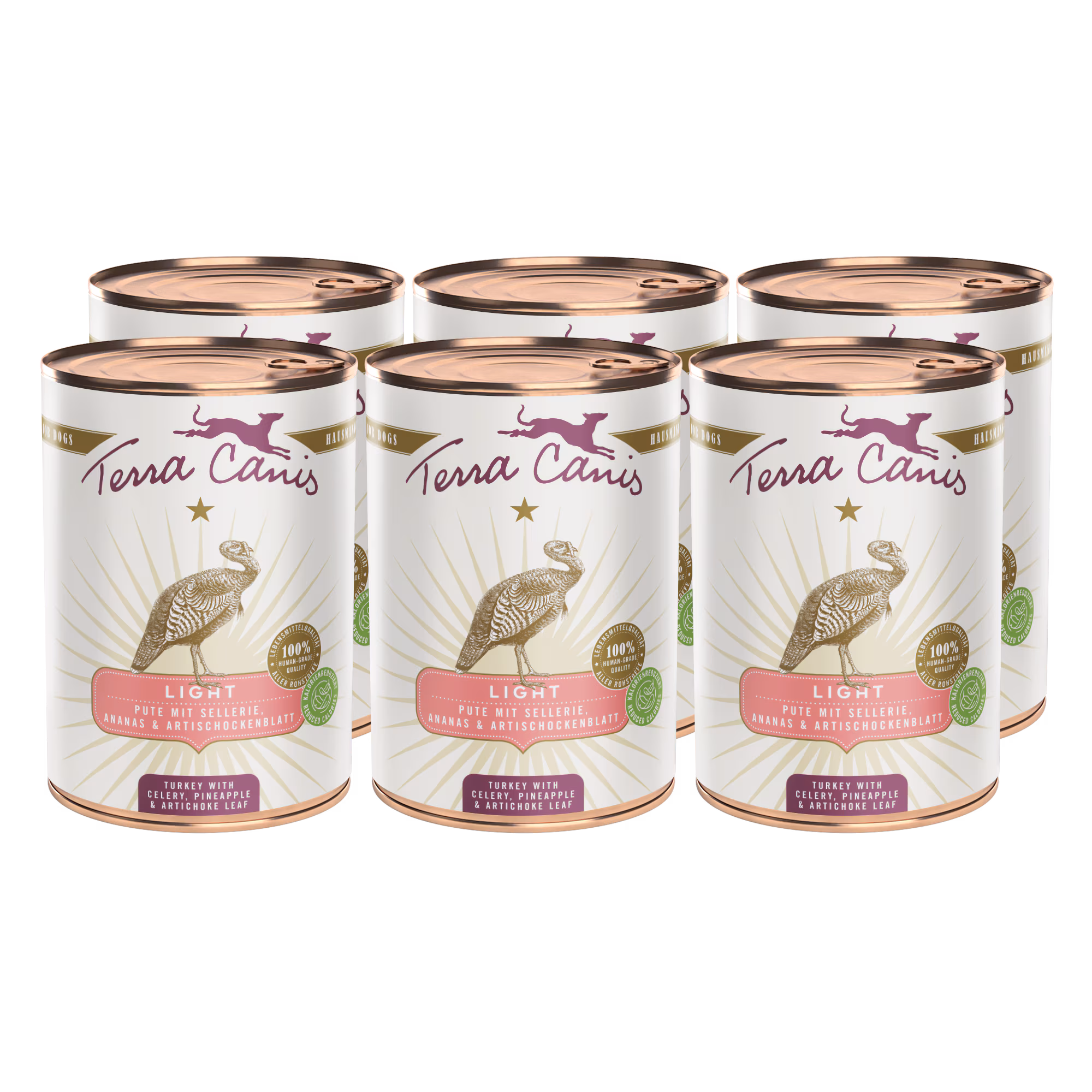 Turkey with celery, pineapple and buckthorn berry