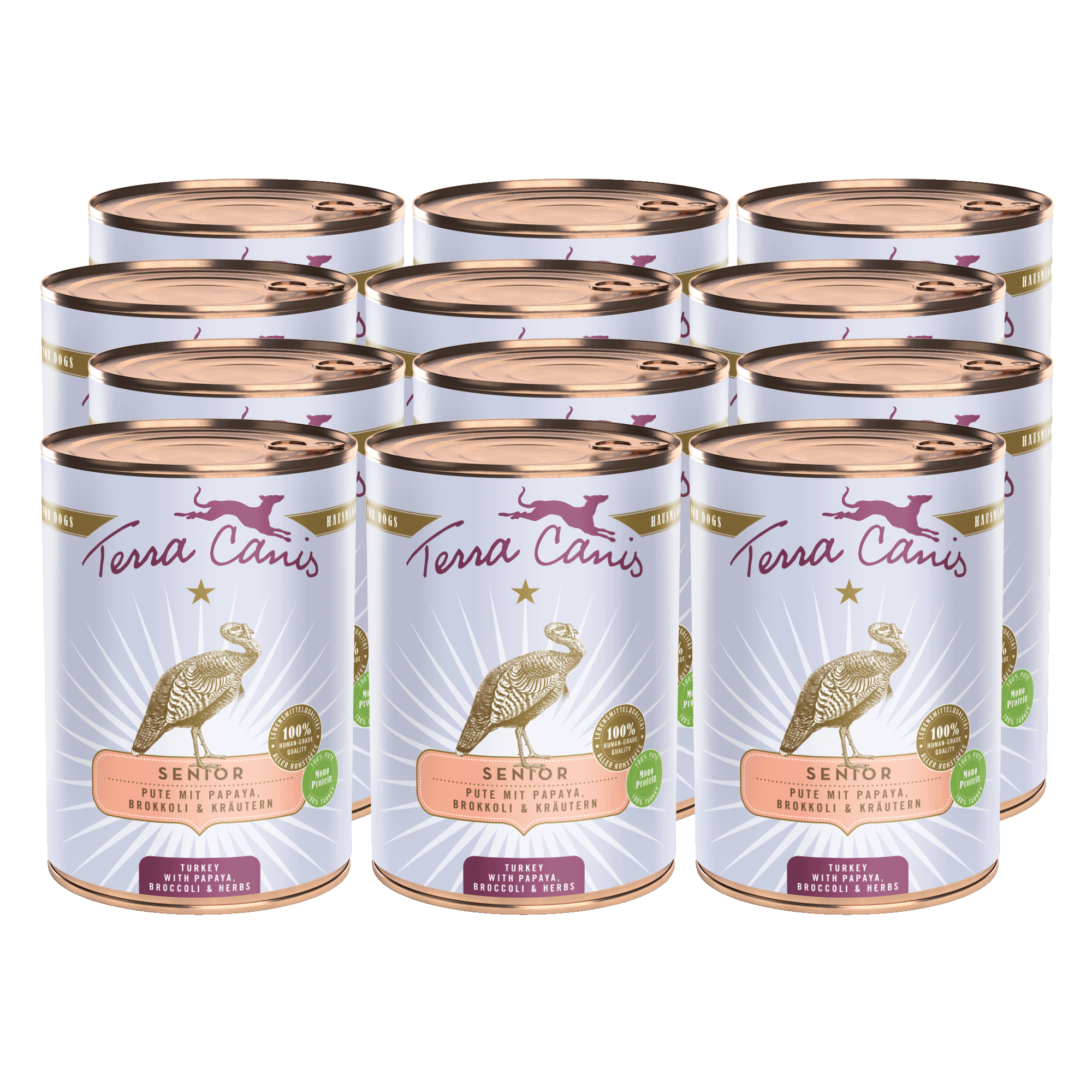 Terra Canis Senior | Pute mit Papaya, Brokkoli und Gesundheitskräutern 12x 400g