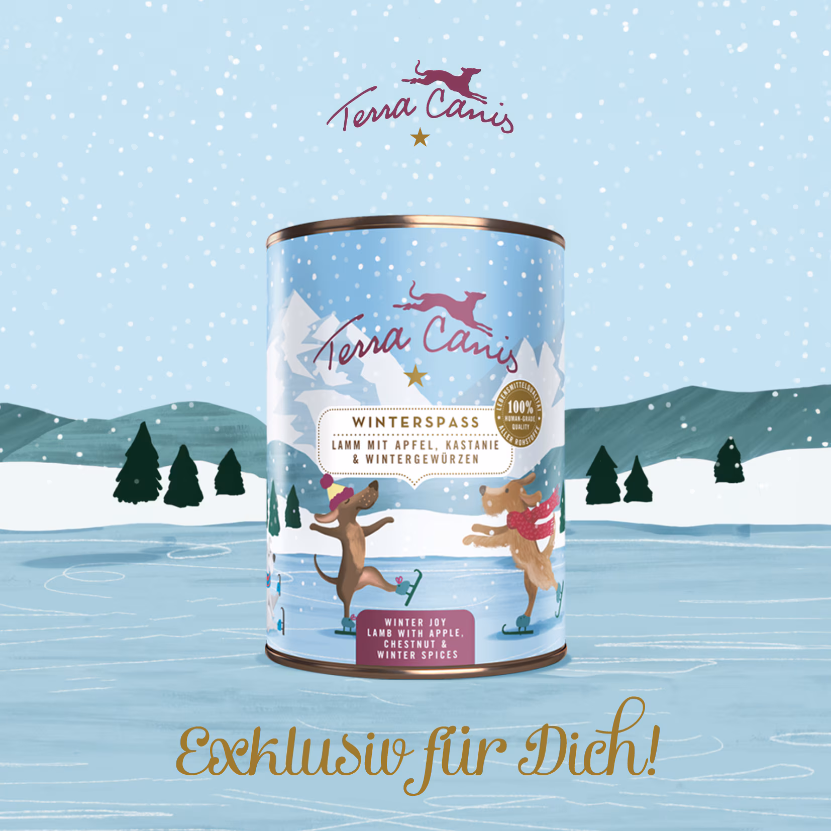 TC Flyer Abo-Kunden Winter Spaß Menü_DE