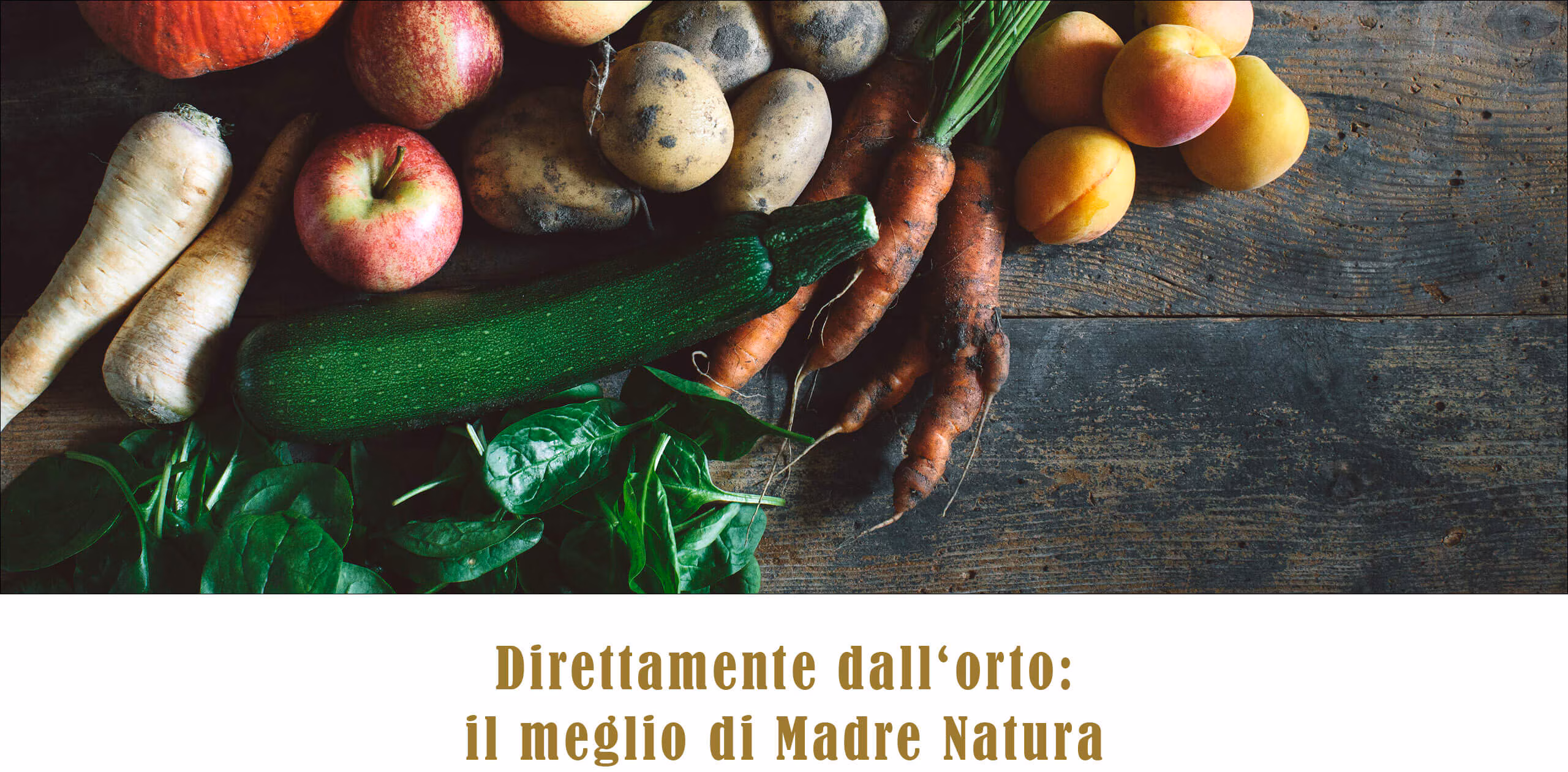 TC Webshop Unterseite Canireo Desktop IT2