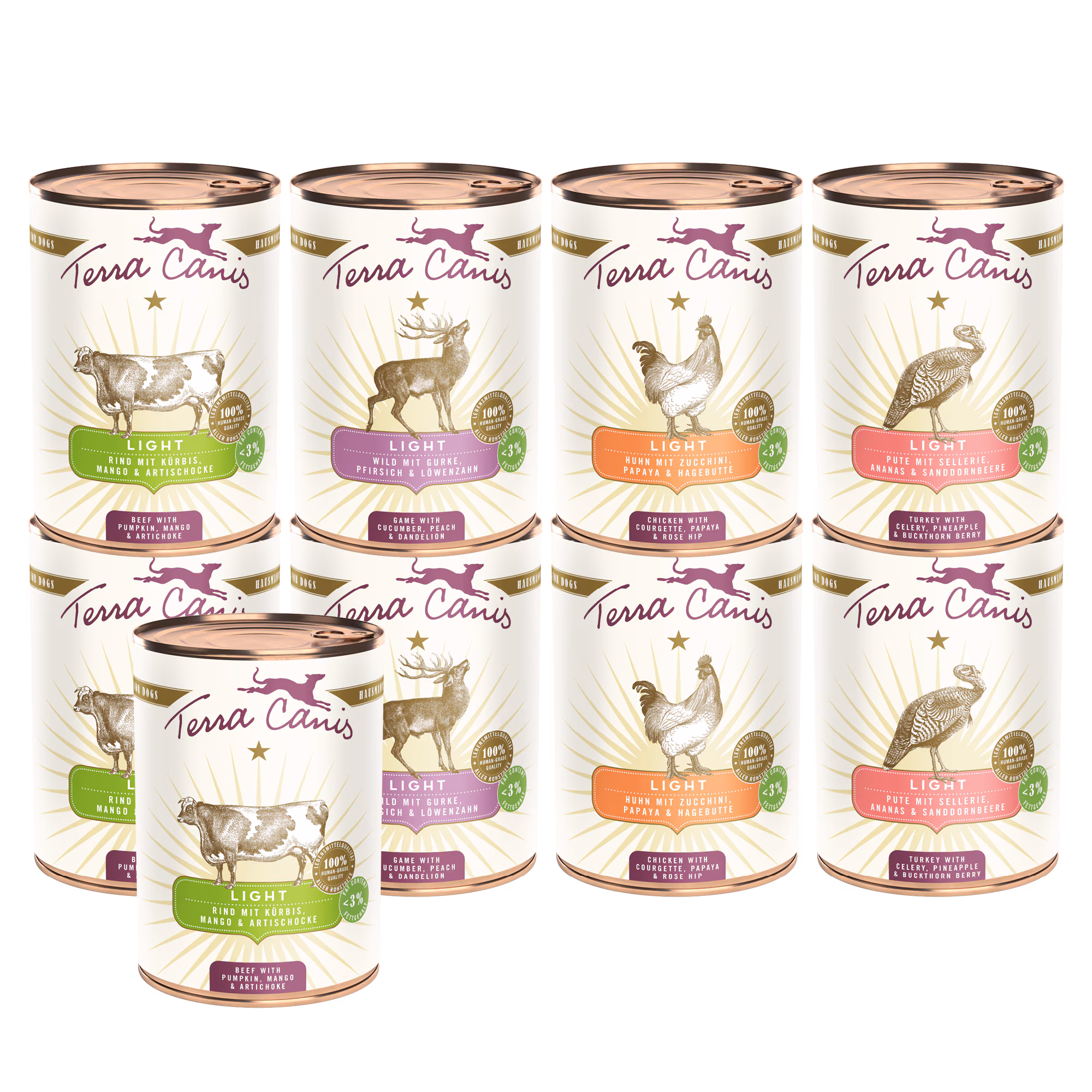 Introductory package L