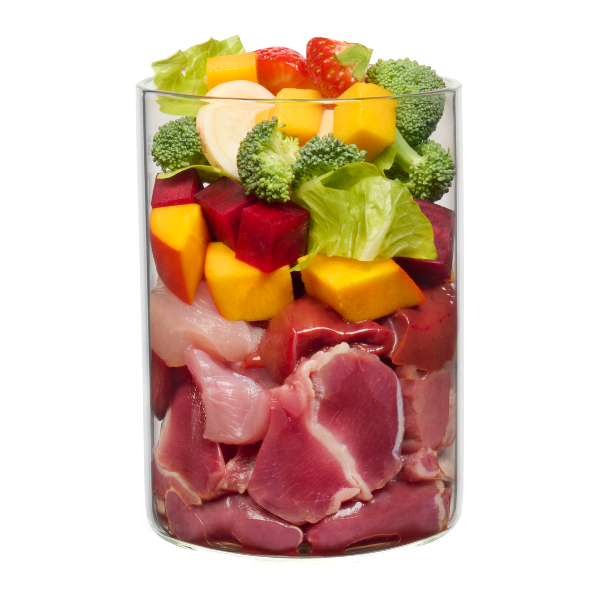 Superdog – Chicken with beetroot, mango and superfoods
