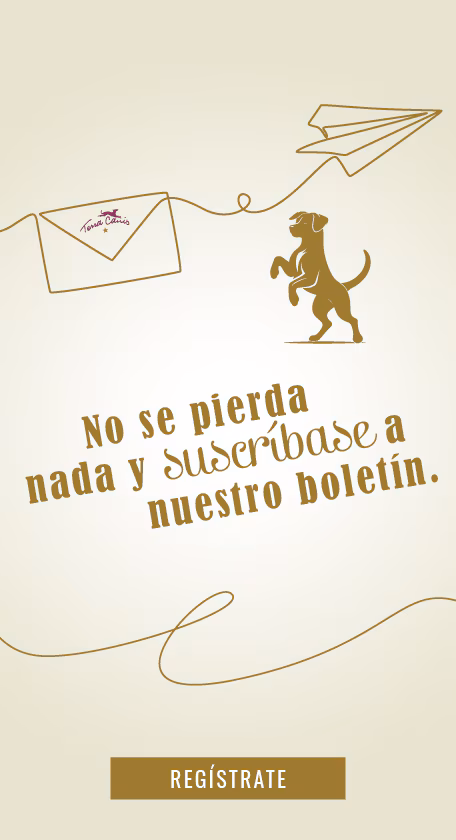 Ayuda Y Servicios Newsletter