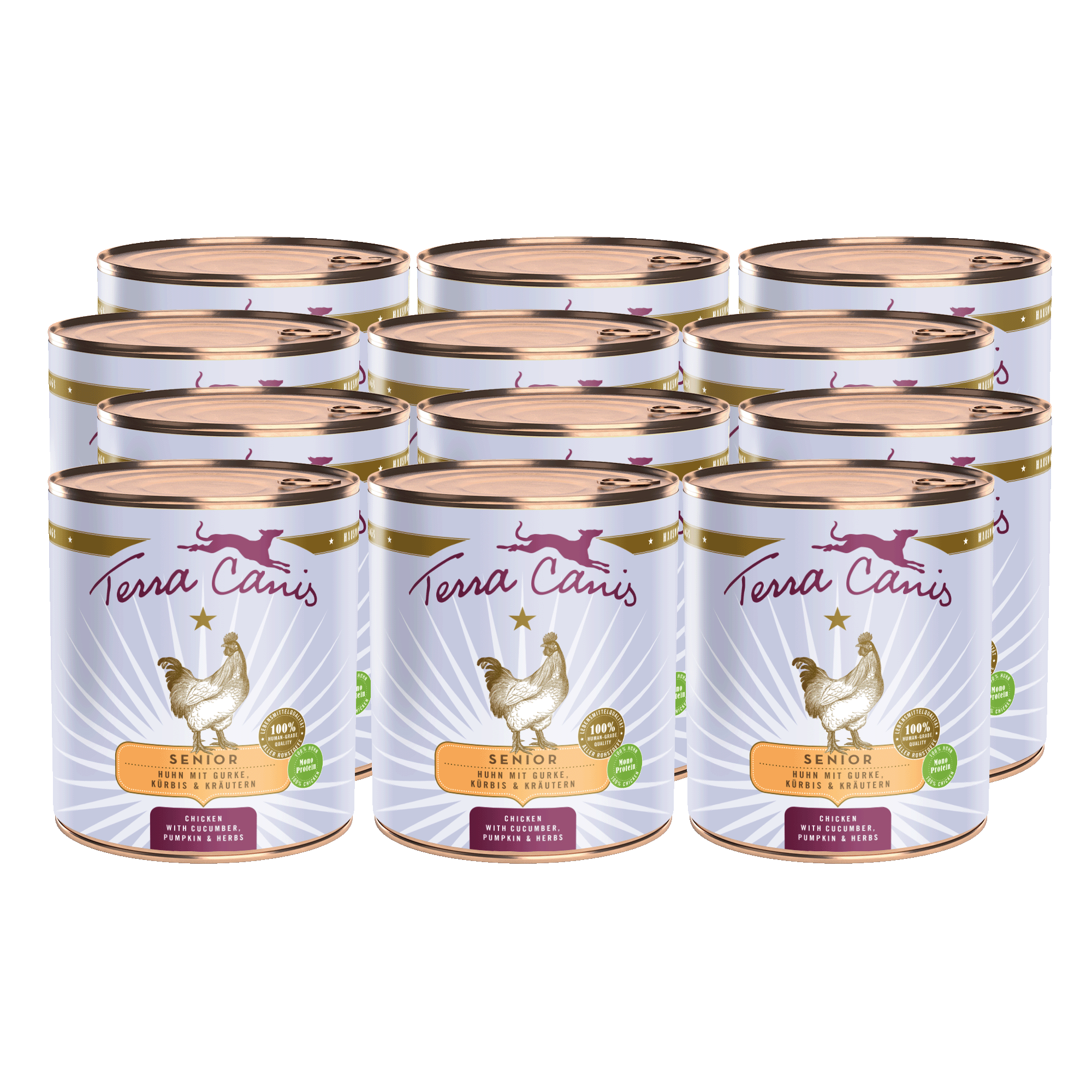 Terra Canis Senior | Huhn mit Gurke, Kürbis und Gesundheitskräutern 12x 800g