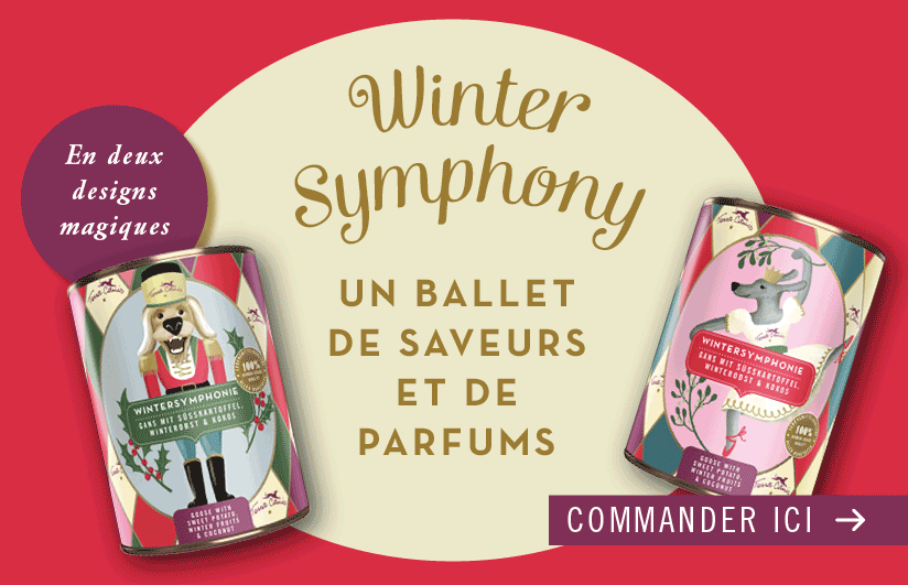 TC Xmas25 Hero2 Desktop2 FR