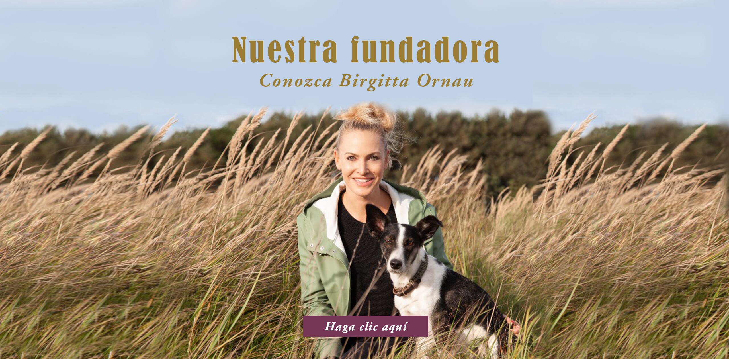 Ueber Terra Canis Expertenteam Gruenderin Birgitta Ornau