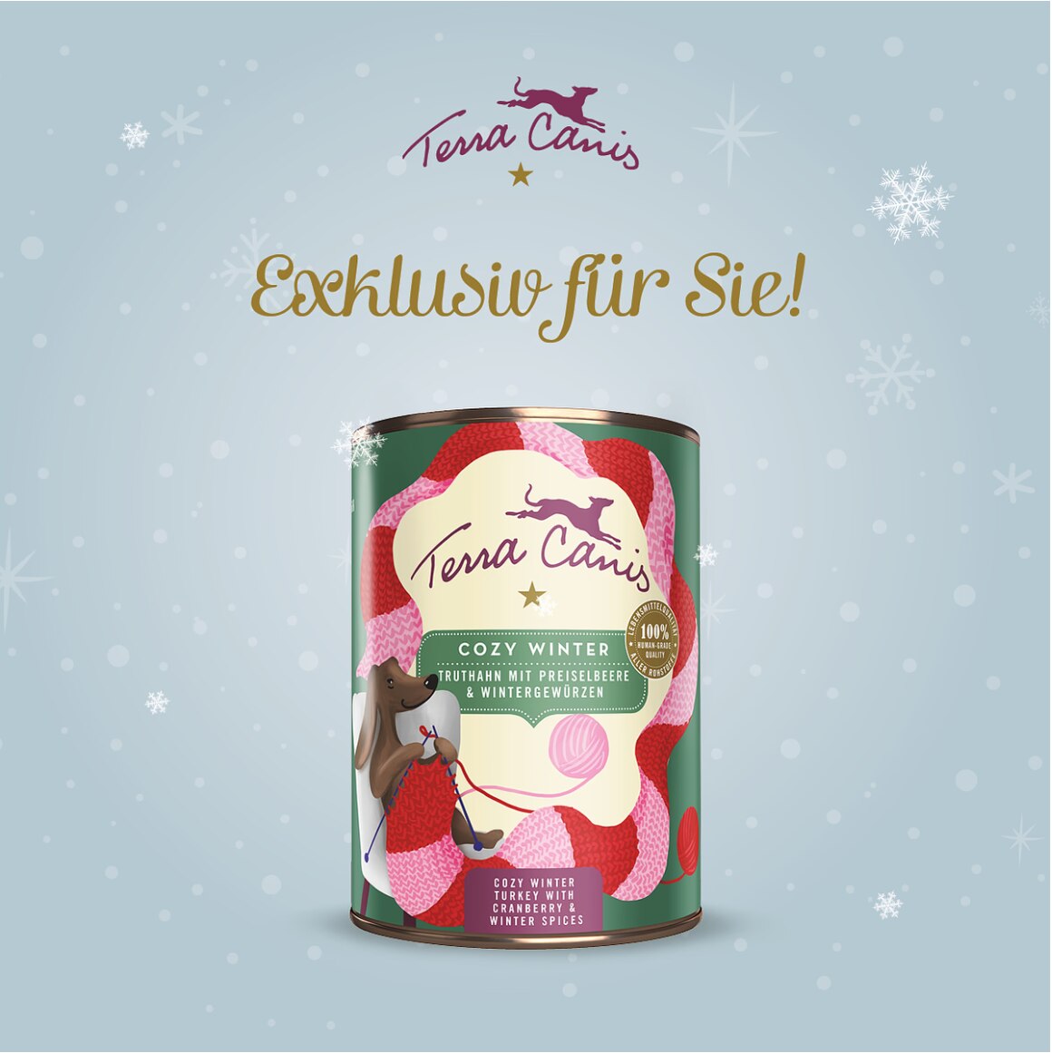 TC Flyer Abo-Kunden Cozy Winter Menü DE