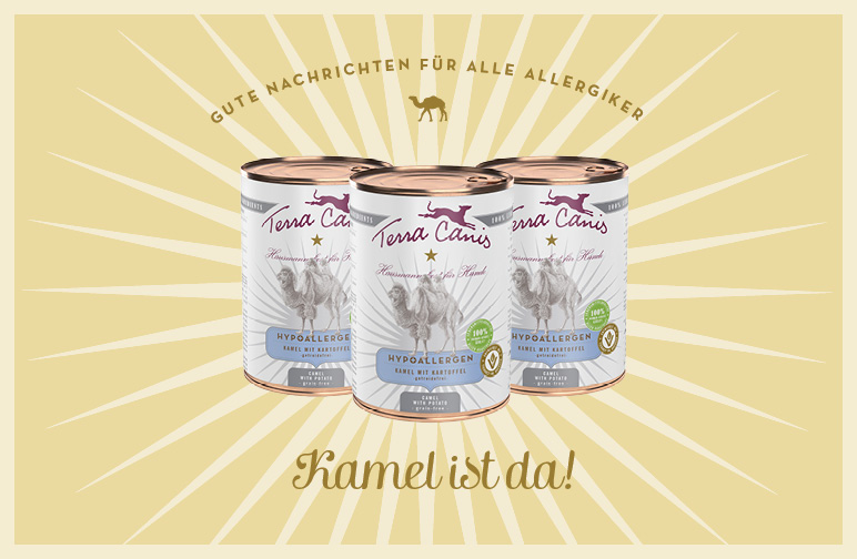 Neu: Hypoallergen Kamel