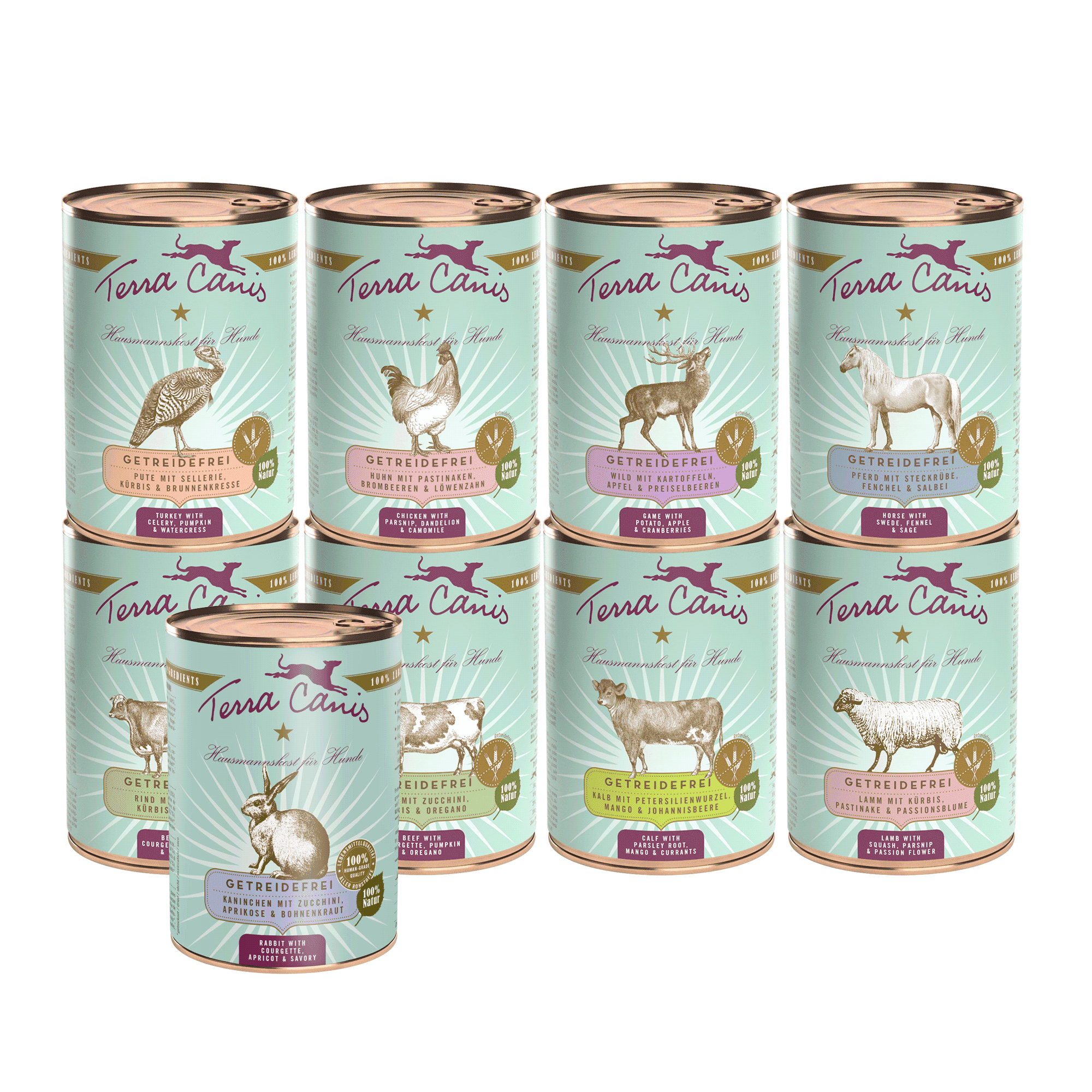 Terra Canis Getreidefrei | Kennenlernpaket L