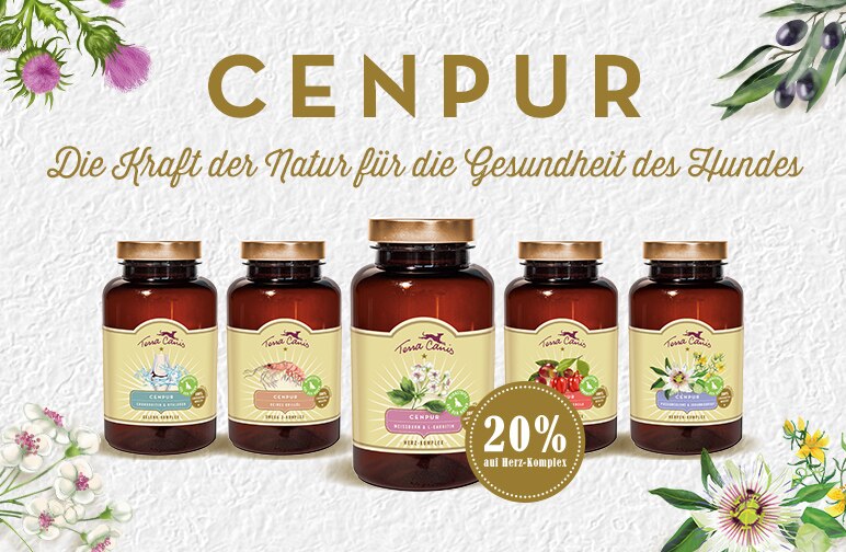 Nahrungsergänzung für Hunde mit der Kraft der Natur