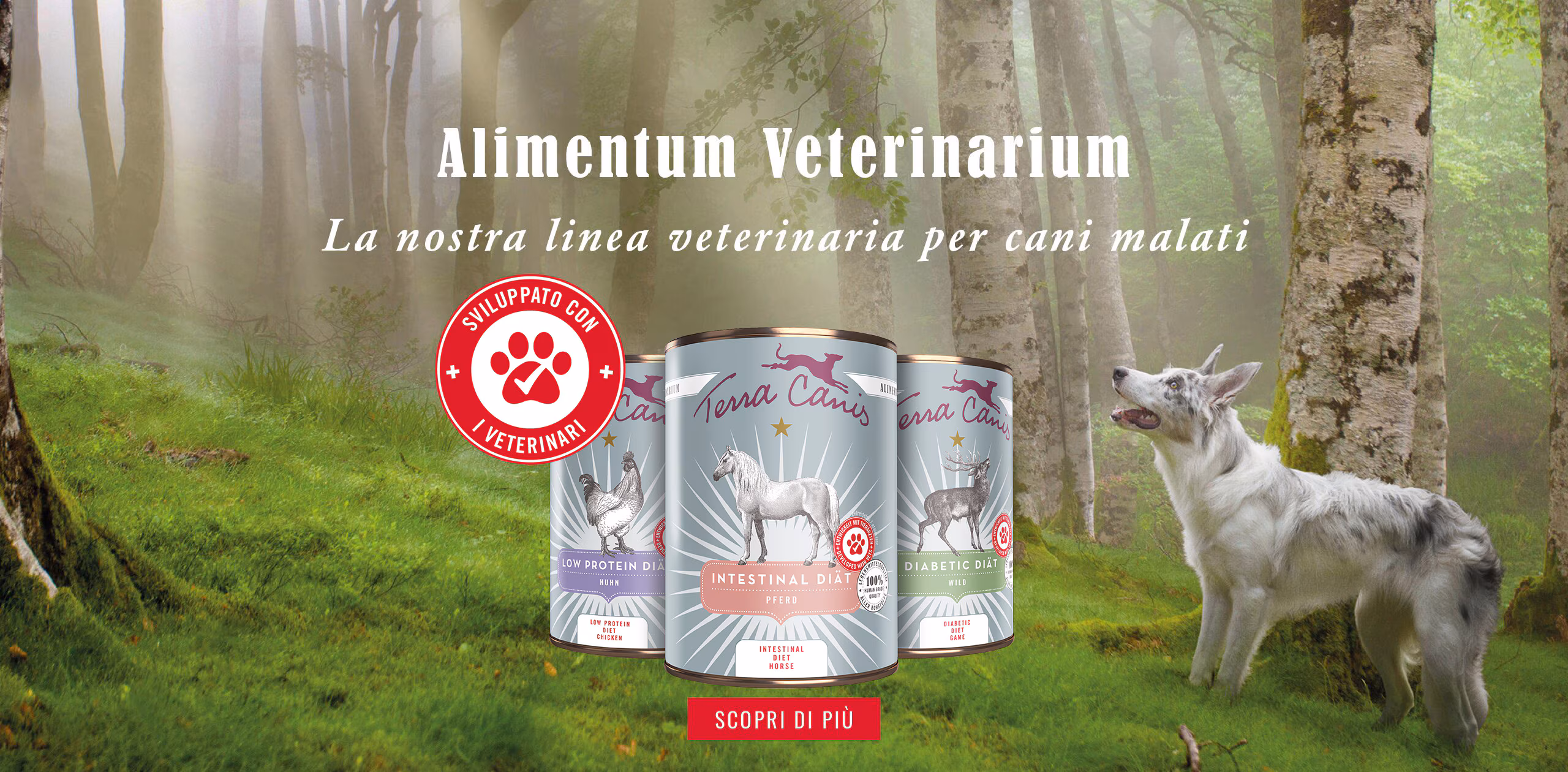 Cibo Per Cani Alimenti Veterinari