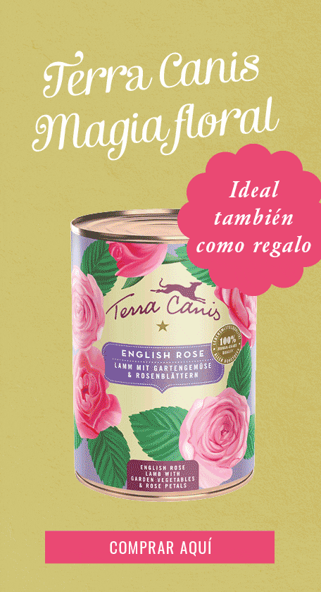 Comida Para Perros Menus Flower