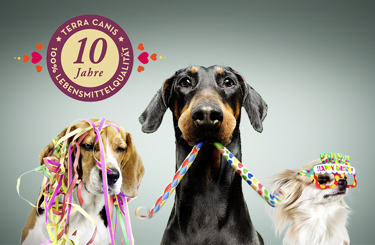 10 Jahre Terra Canis – 10 Jahre 100% Lebensmittelqualität aller Rohstoffe