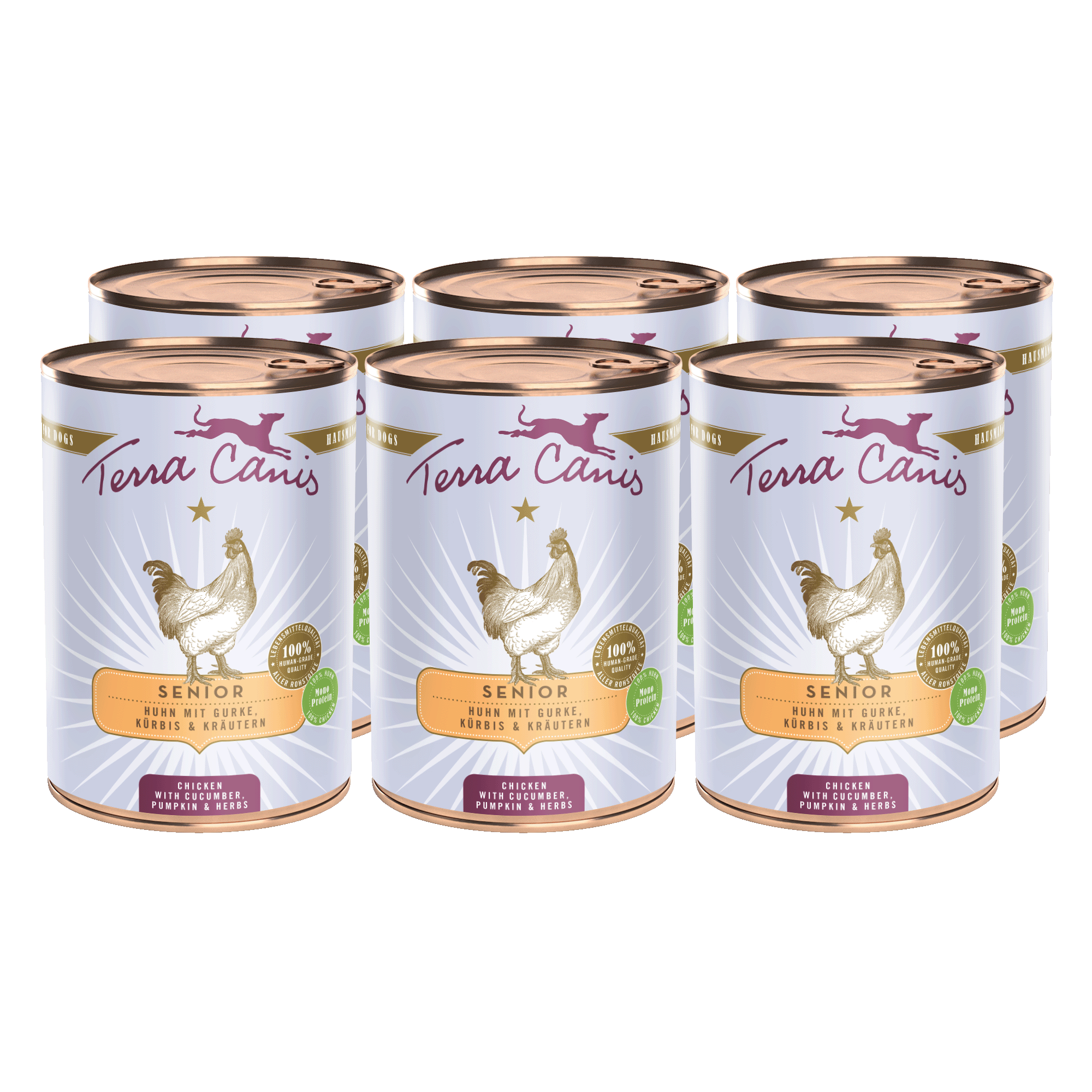 Terra Canis Senior | Huhn mit Gurke, Kürbis und Gesundheitskräutern 6x 400g