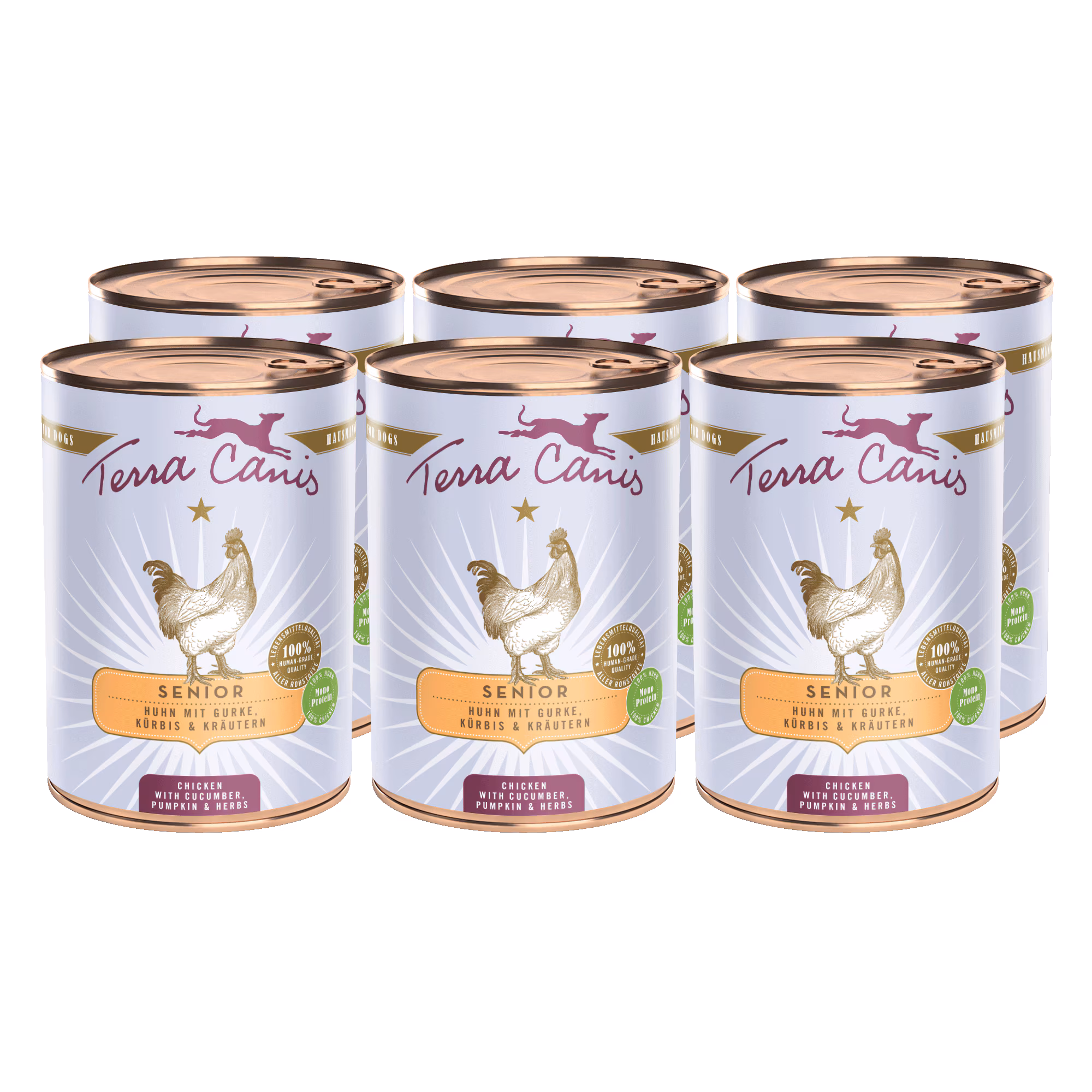 Huhn mit Gurke, Kürbis und Gesundheitskräutern