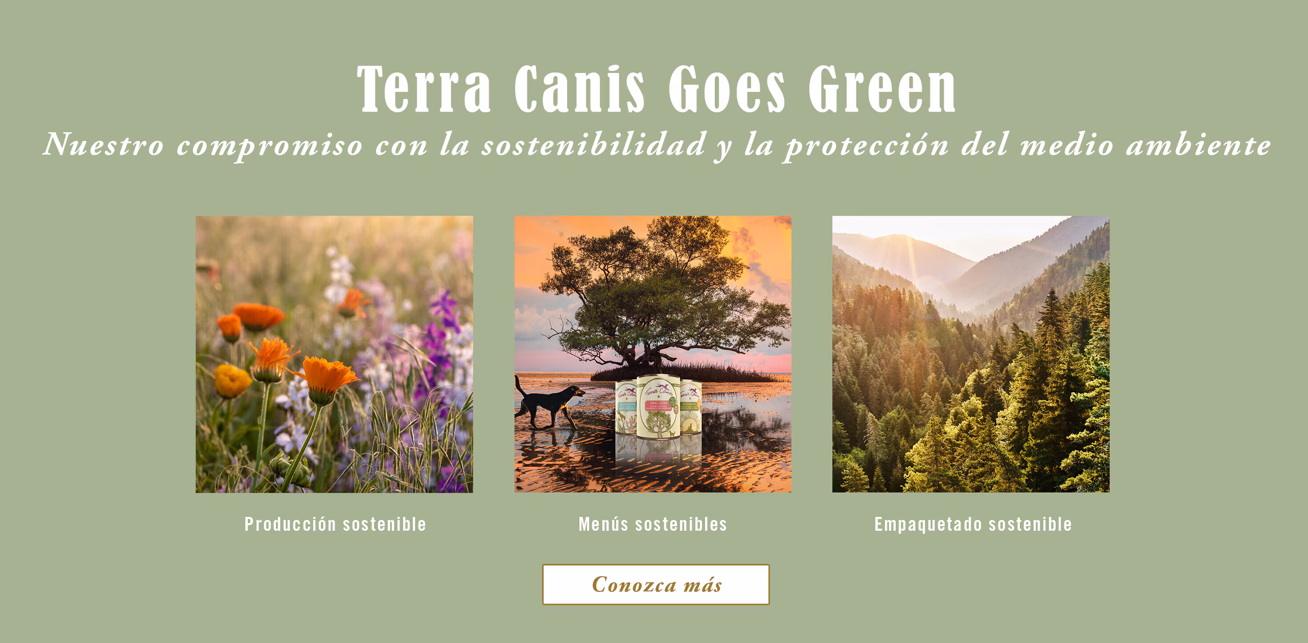 Sobre Terra Canis Terra Canis Goes Green