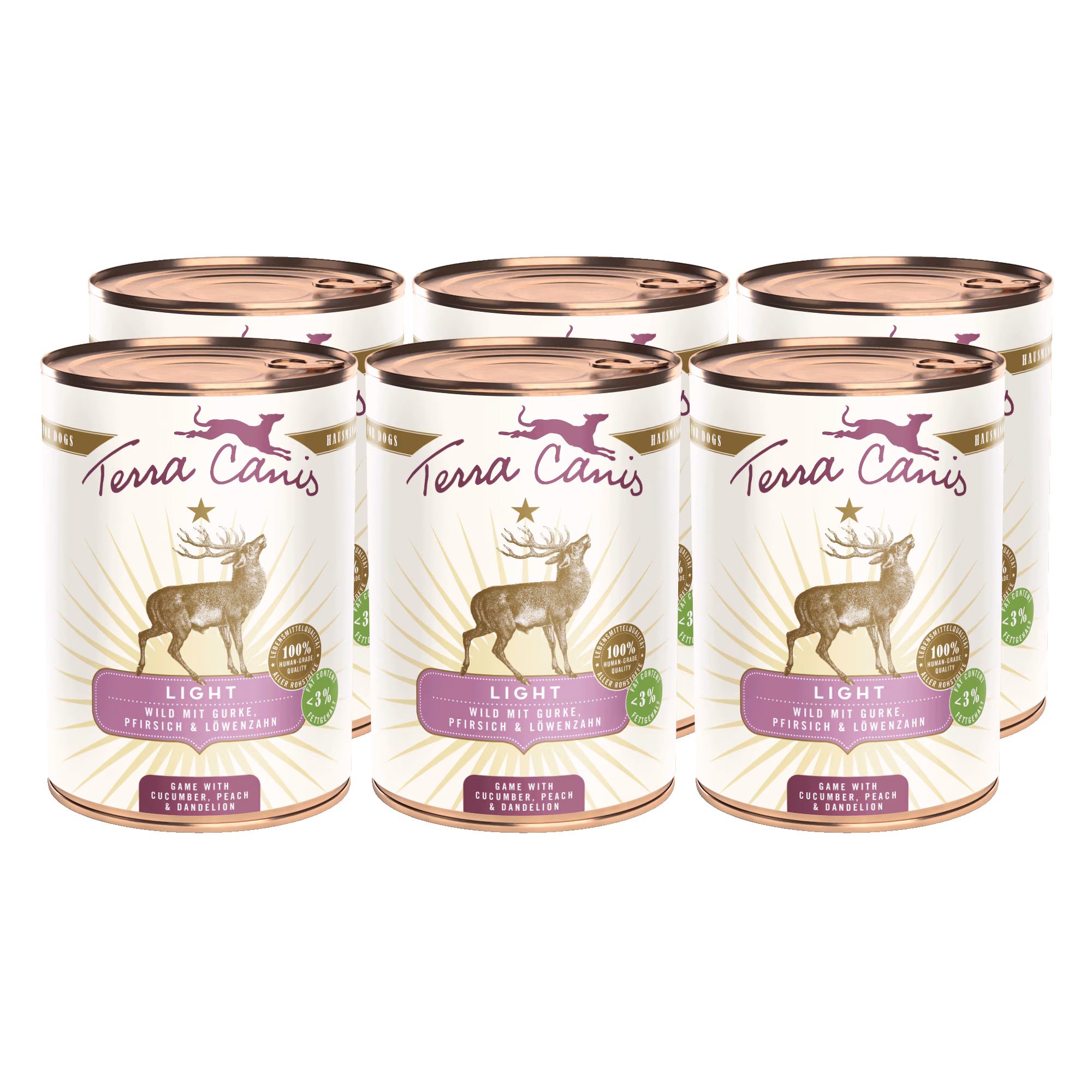 Wild mit Gurke, Pfirsich und Löwenzahn
