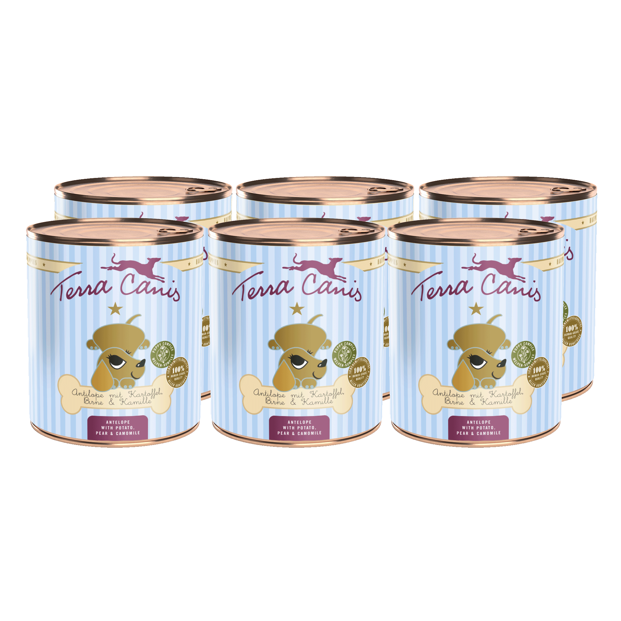 Terra Canis Welpe | Antilope mit Kartoffel, Birne, Kastanie und Kamille 6x 800g