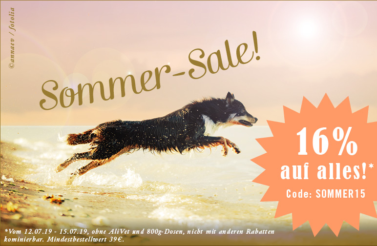 Sommer-Sale